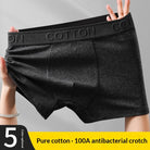 d500be91401d32cd77d43a1be3a166e8